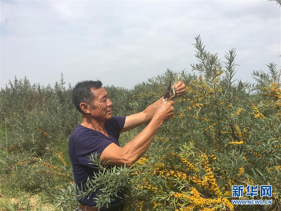 （權(quán)威訪談&middot;聚焦中國經(jīng)濟(jì)亮點(diǎn)&middot;圖文互動(dòng)）（4）防治土地荒漠化 推動(dòng)綠色發(fā)展&mdash;&mdash;專訪國家林業(yè)和草原局副局長劉東生