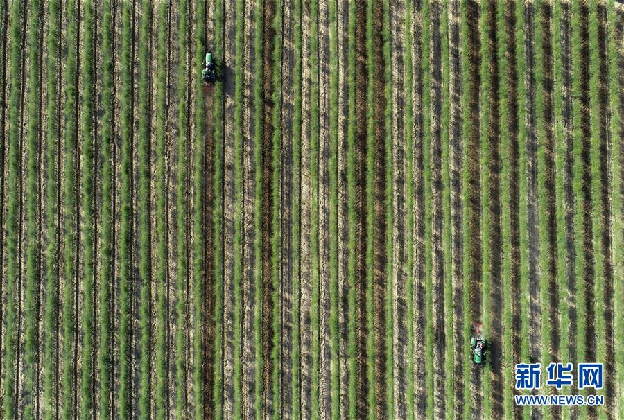 （新華全媒頭條&middot;壯麗70年&middot;奮斗新時(shí)代&middot;圖文互動(dòng)）（8）中國減貧的西海固報(bào)告