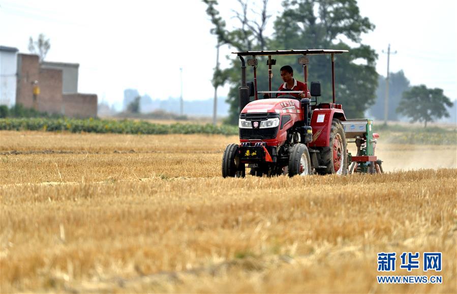 （新華全媒頭條&middot;圖文互動）（8）一個(gè)傳統(tǒng)農(nóng)業(yè)縣的脫貧之路&mdash;&mdash;來自河北新河的調(diào)查報(bào)告