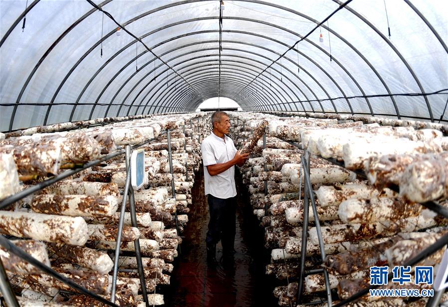 （新華全媒頭條&middot;圖文互動）（10）一個(gè)傳統(tǒng)農(nóng)業(yè)縣的脫貧之路&mdash;&mdash;來自河北新河的調(diào)查報(bào)告