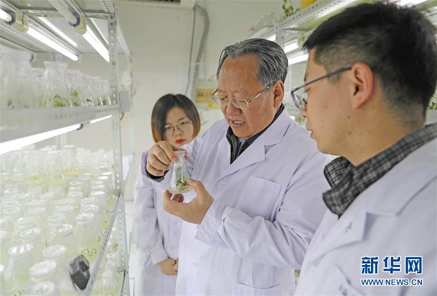 （新華全媒頭條&middot;圖文互動）（1）和蔬菜&ldquo;說話&rdquo;的人&mdash;&mdash;中國工程院院士李天來的&ldquo;棚菜人生&rdquo;