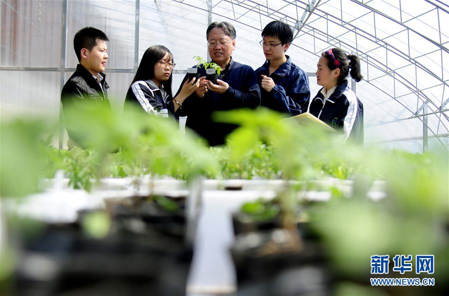 （新華全媒頭條&middot;圖文互動）（7）和蔬菜&ldquo;說話&rdquo;的人&mdash;&mdash;中國工程院院士李天來的&ldquo;棚菜人生&rdquo;