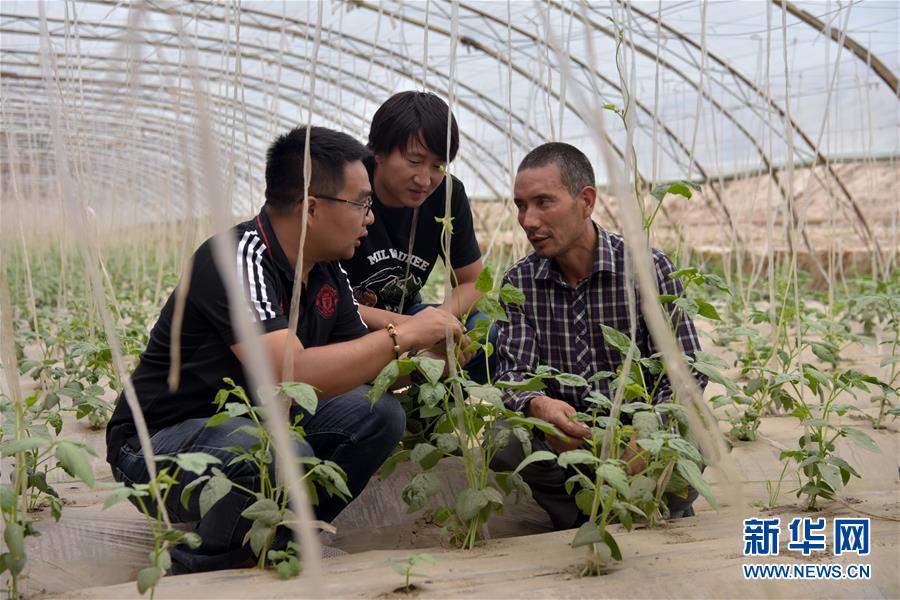 （新華全媒頭條&middot;圖文互動(dòng)）（10）同心援疆，&ldquo;壯闊&rdquo;祖國(guó)西北角