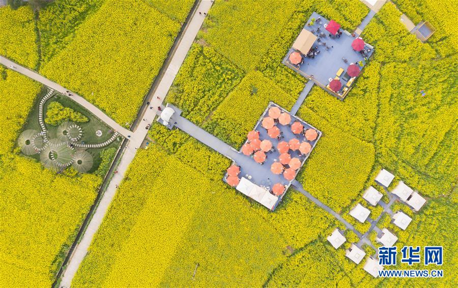 （壯麗70年&middot;奮斗新時(shí)代&mdash;&mdash;共和國(guó)發(fā)展成就巡禮&middot;圖文互動(dòng)）（13）治蜀往事激越 興川今朝豪邁&mdash;&mdash;新中國(guó)成立70年四川發(fā)展巡禮