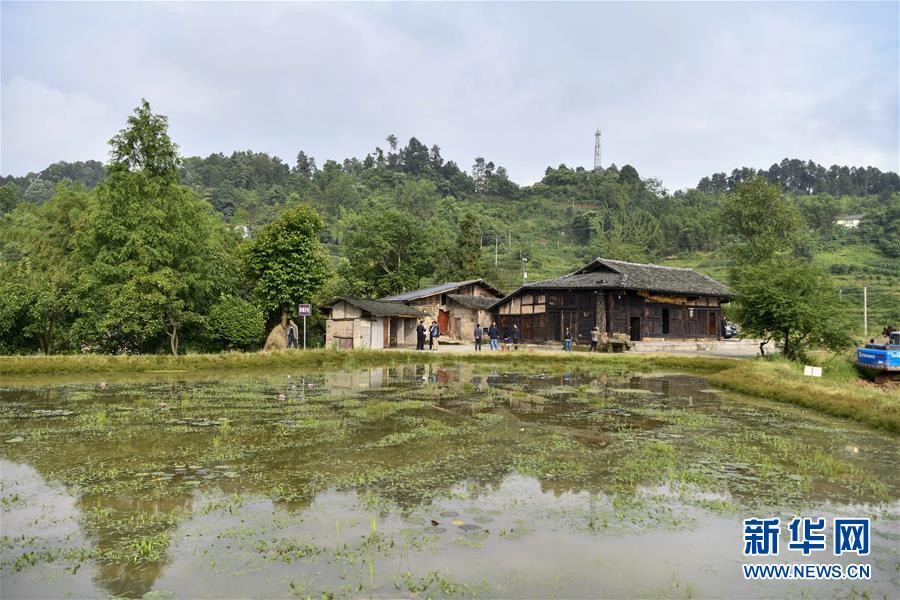 （來自一線的調(diào)查報告&middot;圖文互動）（2）利益聯(lián)結(jié)強(qiáng)產(chǎn)業(yè)　打通城鄉(xiāng)促振興&mdash;&mdash;重慶涪陵大順鄉(xiāng)鄉(xiāng)村振興觀察