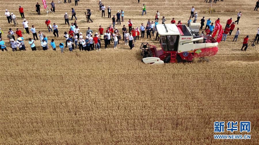 （壯麗70年&middot;奮斗新時代&mdash;&mdash;共和國發(fā)展成就巡禮）（3）看今朝齊風(fēng)魯韻　七十載芳華正勁&mdash;&mdash;新中國成立以來山東領(lǐng)先發(fā)展紀實