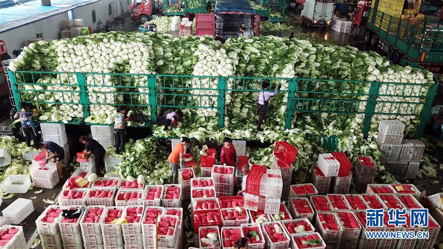 （壯麗70年&middot;奮斗新時代&mdash;&mdash;共和國發(fā)展成就巡禮）（5）看今朝齊風(fēng)魯韻　七十載芳華正勁&mdash;&mdash;新中國成立以來山東領(lǐng)先發(fā)展紀實