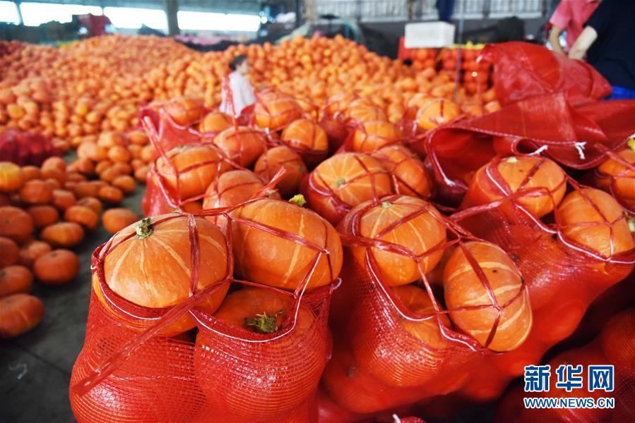 （壯麗70年&middot;奮斗新時代&mdash;&mdash;共和國發(fā)展成就巡禮）（6）看今朝齊風(fēng)魯韻　七十載芳華正勁&mdash;&mdash;新中國成立以來山東領(lǐng)先發(fā)展紀實