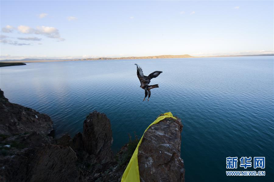 （今日關(guān)注&middot;第一屆國(guó)家公園論壇&middot;圖文互動(dòng)）（2）首個(gè)國(guó)家公園什么樣？專家?guī)阆?ldquo;睹&rdquo;為快