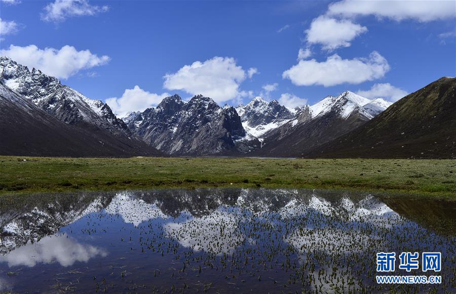 （今日關(guān)注&middot;第一屆國(guó)家公園論壇&middot;圖文互動(dòng)）（6）首個(gè)國(guó)家公園什么樣？專家?guī)阆?ldquo;睹&rdquo;為快