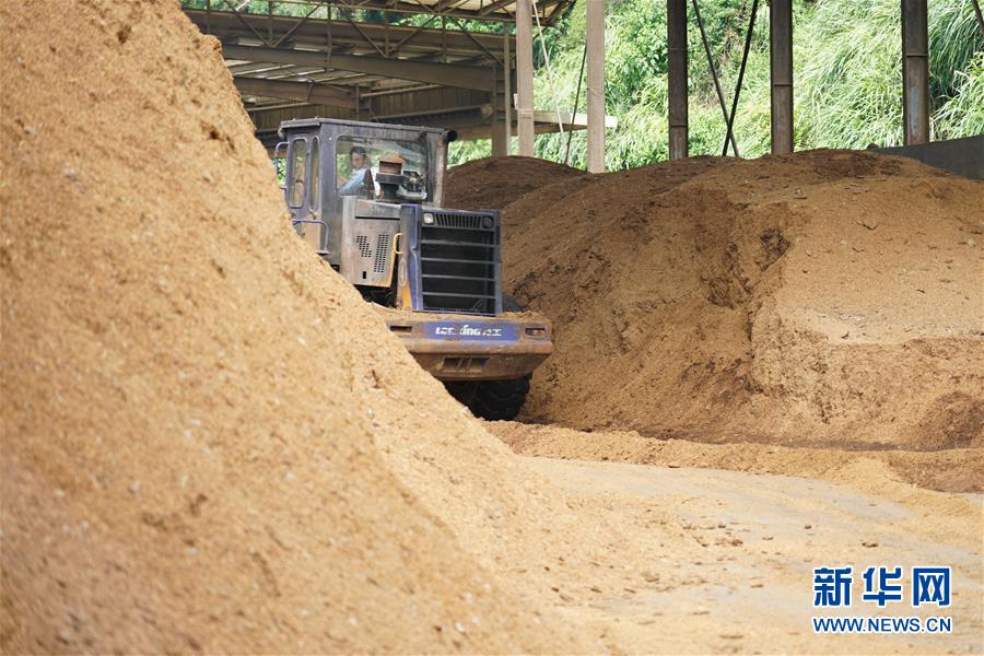 （在習(xí)近平新時(shí)代中國(guó)特色社會(huì)主義思想指引下&mdash;&mdash;新時(shí)代新作為新篇章&middot;總書(shū)記關(guān)心的百姓身邊事&middot;圖文互動(dòng)）（4）大污染變身&ldquo;大寶藏&rdquo;：治理畜禽糞污，他們這樣干！