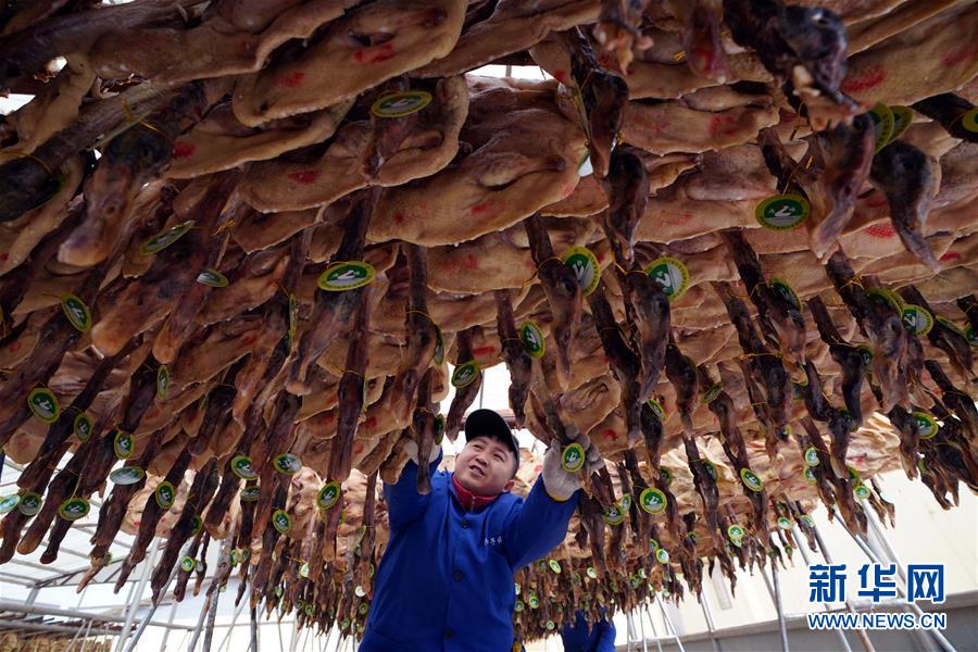 （壯麗70年&middot;奮斗新時(shí)代&mdash;&mdash;共和國(guó)發(fā)展成就巡禮&middot;圖文互動(dòng)）（3）人民至上的生動(dòng)實(shí)踐&mdash;&mdash;共和國(guó)民生發(fā)展成就巡禮