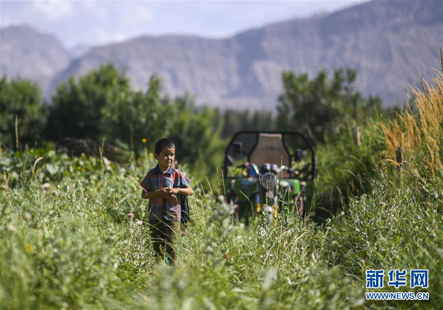 （決戰(zhàn)決勝脫貧攻堅&middot;圖文互動）（5）記者手記：尋訪昆侖&ldquo;桃花源&rdquo;的&ldquo;祛病&rdquo;良方