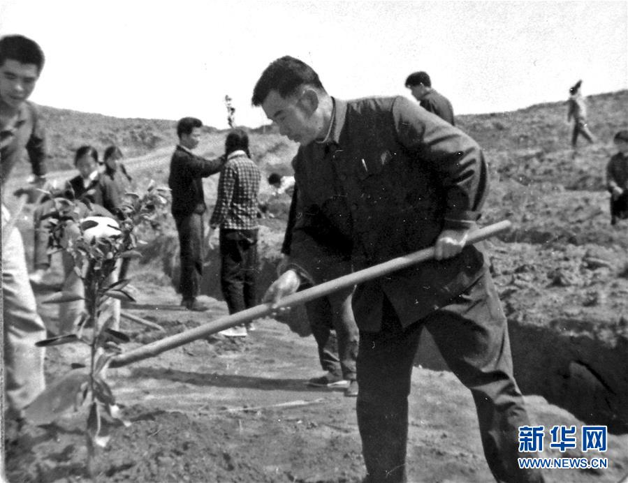 （紅土地&ldquo;往事新說(shuō)&rdquo;&middot;圖文互動(dòng)）（1）昔日房前&ldquo;一棵苗&rdquo; 今朝引來(lái)橙滿枝