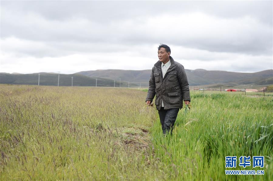 (新華全媒頭條·圖文互動(dòng))(8)確保“中華水塔”碧水東流——中國三江源生態(tài)保護(hù)報(bào)告