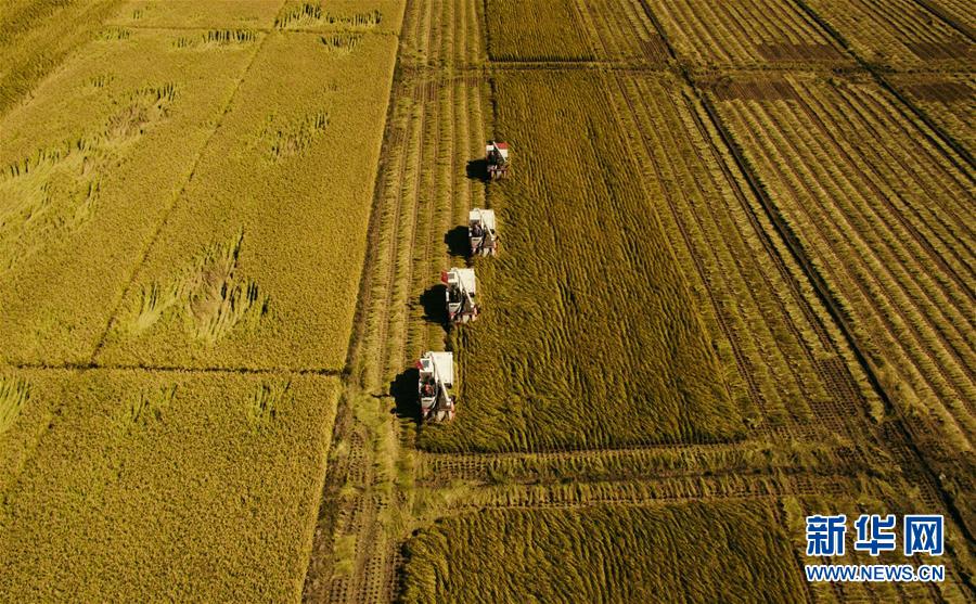 （新華全媒頭條&middot;圖文互動(dòng)）（5）紅色的傳承，藍(lán)圖的起點(diǎn)&mdash;&mdash;新中國(guó)孕育與發(fā)展的&ldquo;東北記憶&rdquo;