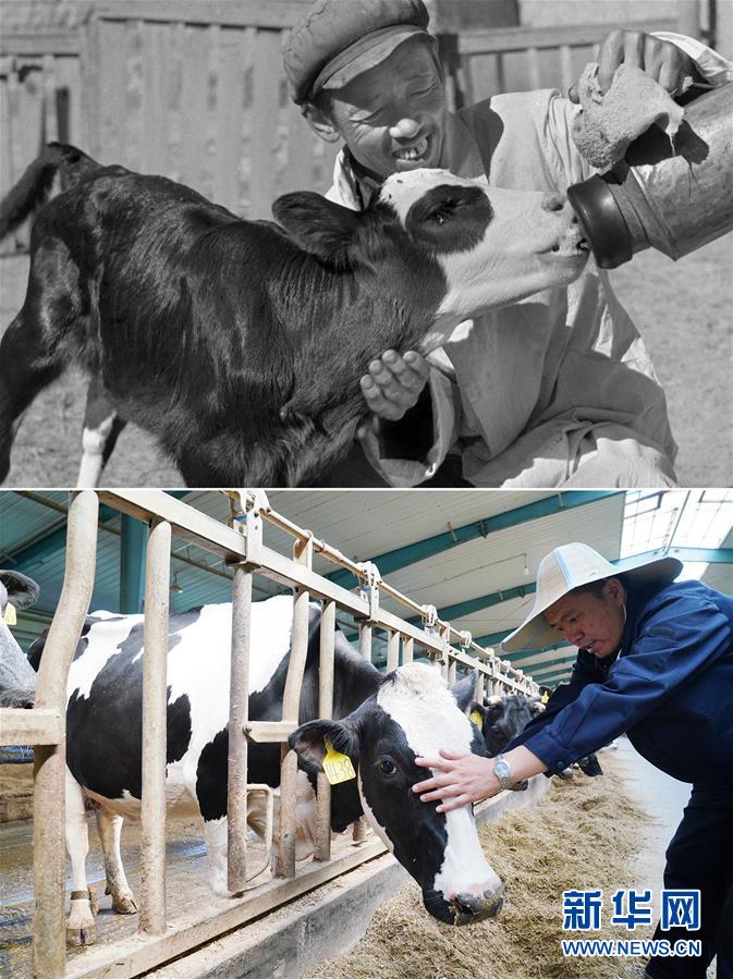 （壯麗70年&middot;奮斗新時(shí)代）（8）70年時(shí)光流影 70行見證發(fā)展