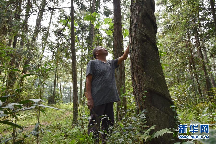 （愛(ài)國(guó)情 奮斗者&middot;圖文互動(dòng)）（3）貴州印江高石坎護(hù)林隊(duì)：半輩子，以林場(chǎng)為家