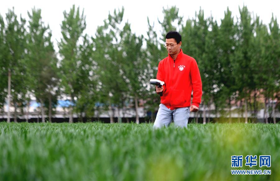 （在習(xí)近平新時(shí)代中國(guó)特色社會(huì)主義思想指引下&mdash;&mdash;新時(shí)代新作為新篇章&middot;總書(shū)記關(guān)心的百姓身邊事&middot;圖文互動(dòng)）（4）&ldquo;農(nóng)&rdquo;字頭照樣&ldquo;大&rdquo;作為&mdash;&mdash;豐收時(shí)節(jié)看涉農(nóng)高校人才在希望的田野