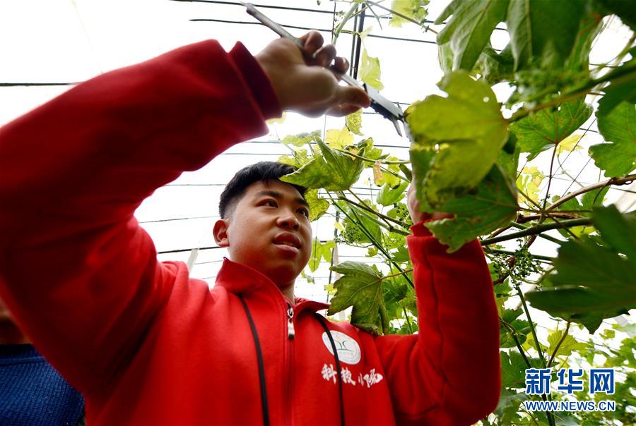 （在習(xí)近平新時代中國特色社會主義思想指引下&mdash;&mdash;新時代新作為新篇章&middot;總書記關(guān)心的百姓身邊事&middot;圖文互動）（1）&ldquo;農(nóng)&rdquo;字頭照樣&ldquo;大&rdquo;作為&mdash;&mdash;豐收時節(jié)看涉農(nóng)高校人才在希望的田野