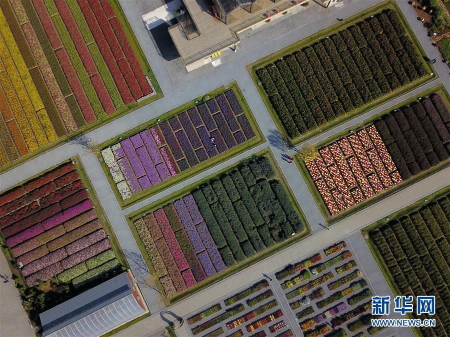 （新華全媒頭條&middot;圖文互動(dòng)）（11）難忘的&ldquo;世園記憶&rdquo; 共同的綠色追求&mdash;&mdash;寫在北京世園會(huì)閉幕之際