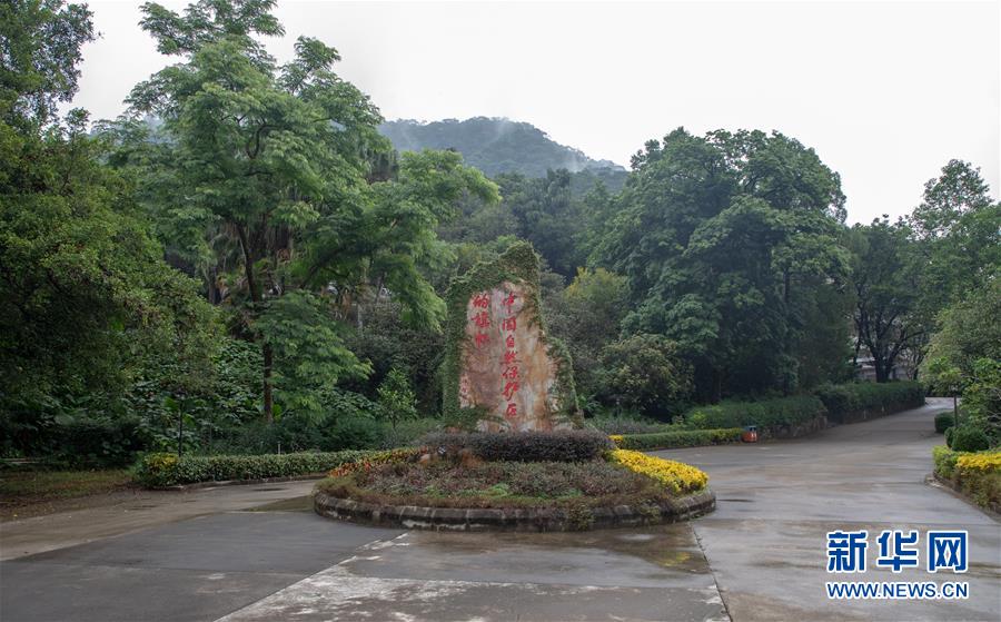 （圖文互動(dòng)）（1）科學(xué)接續(xù)保護(hù) 守住生態(tài)紅線&mdash;&mdash;探訪&ldquo;北回歸沙漠帶上的綠色明珠&rdquo;