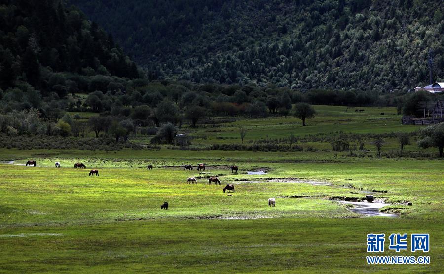 （新華全媒頭條&middot;決戰(zhàn)決勝脫貧攻堅&middot;圖文互動）（7）為了人與自然和諧共生&mdash;&mdash;云南&ldquo;三江并流&rdquo;地區(qū)決戰(zhàn)精準(zhǔn)脫貧的&ldquo;生態(tài)畫卷&rdquo;