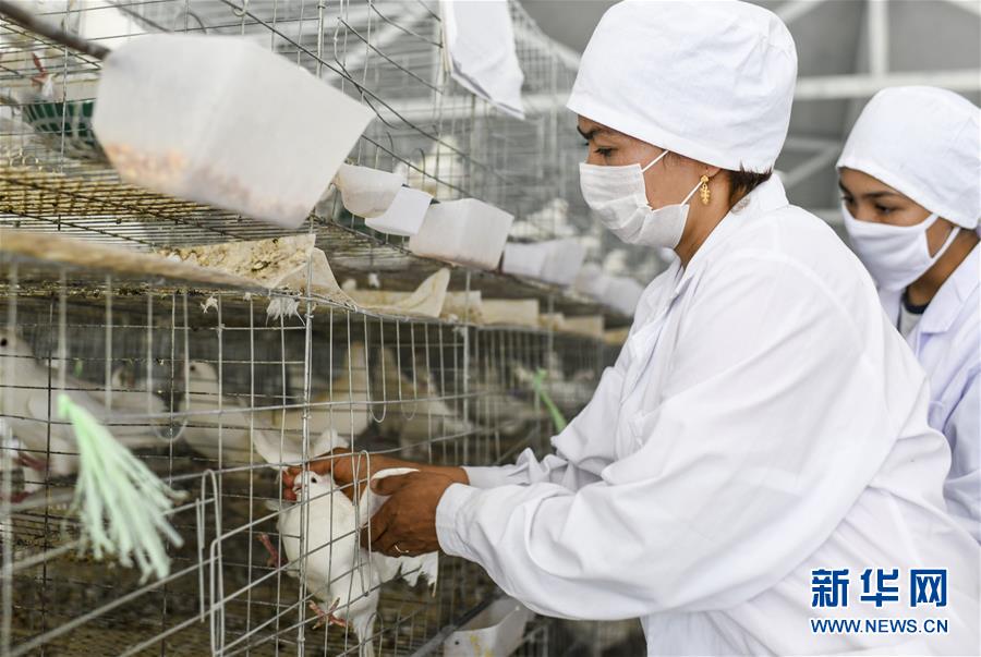 （決戰(zhàn)決勝扶貧攻堅&middot;圖文互動）（5）凝心聚力奔小康&mdash;&mdash;新疆南疆四地州脫貧攻堅成就綜述