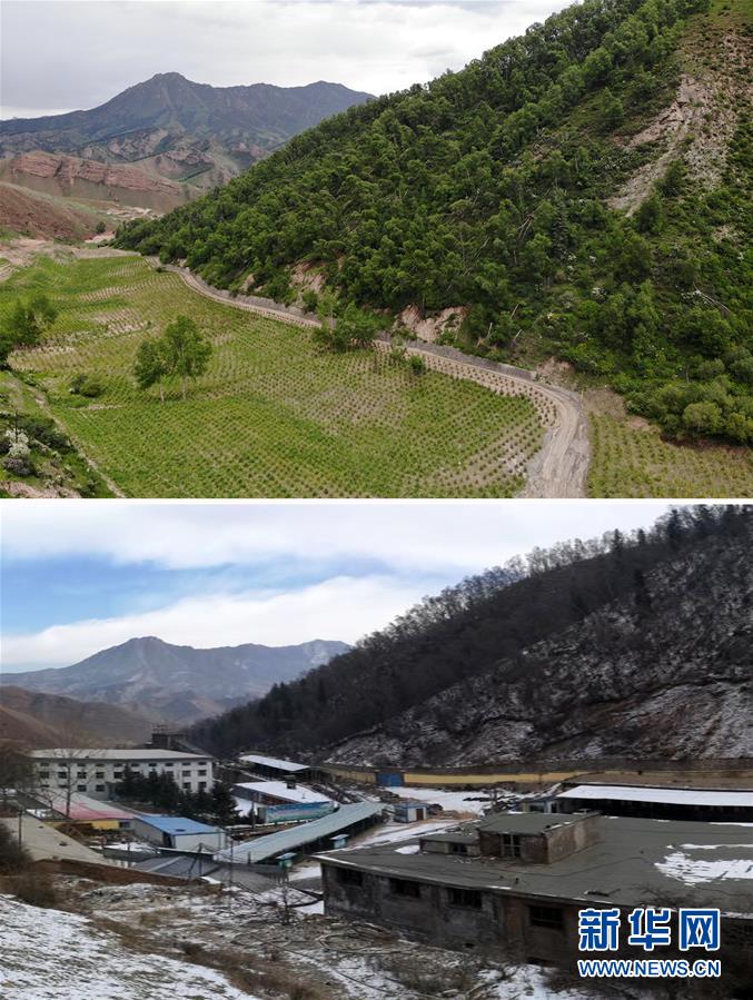 (新華全媒頭條·圖文互動)(8)綠色的啟示——西部地區(qū)生態(tài)問題典型個案再調(diào)查