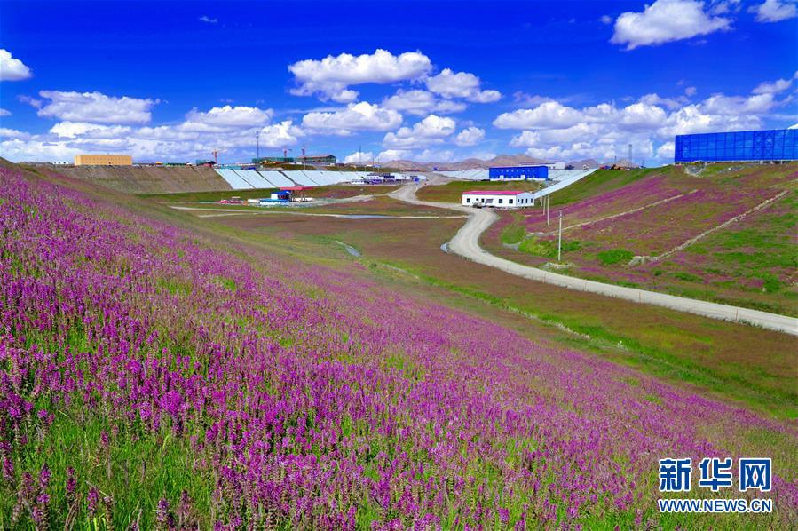 (新華全媒頭條·圖文互動)(7)綠色的啟示——西部地區(qū)生態(tài)問題典型個案再調(diào)查