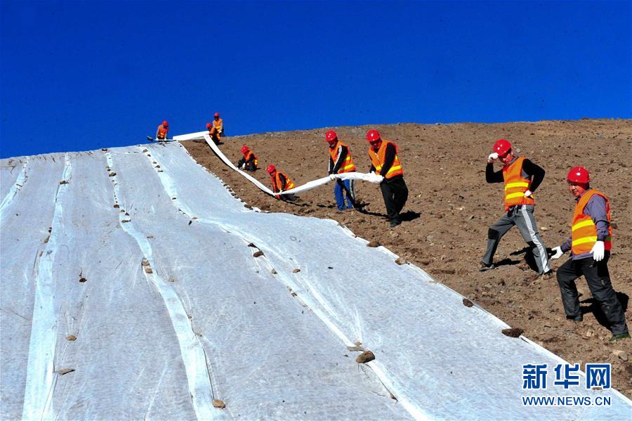(新華全媒頭條·圖文互動)(6)綠色的啟示——西部地區(qū)生態(tài)問題典型個案再調(diào)查