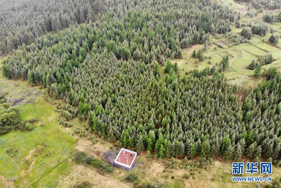 (新華全媒頭條·圖文互動)(11)綠色的啟示——西部地區(qū)生態(tài)問題典型個案再調(diào)查