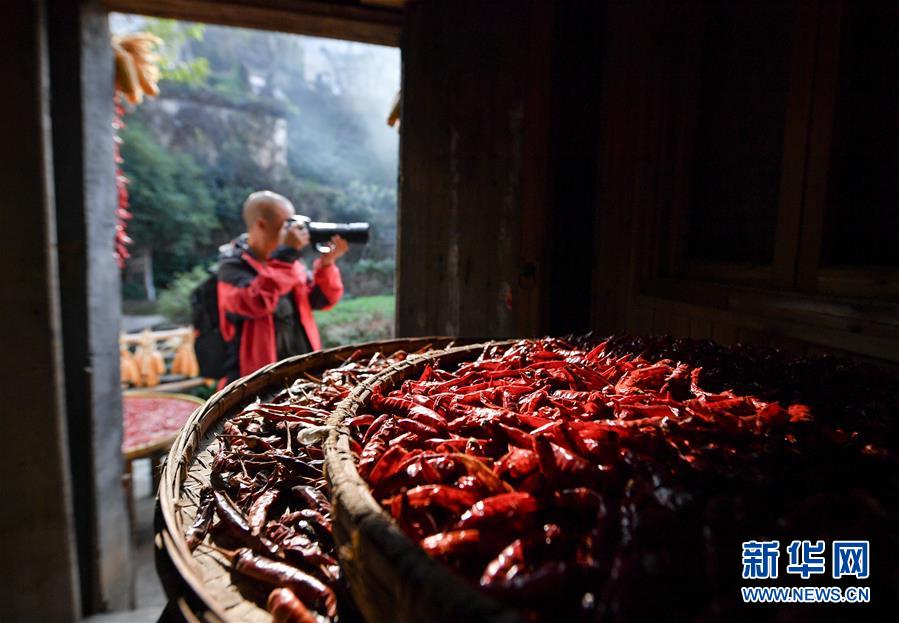 （圖文互動）（6）鄉(xiāng)村攝影師、鄉(xiāng)村&ldquo;模特&rdquo;、民宿店主&mdash;&mdash;鄉(xiāng)村旅游推動婺源農(nóng)民生活方式發(fā)生新變化