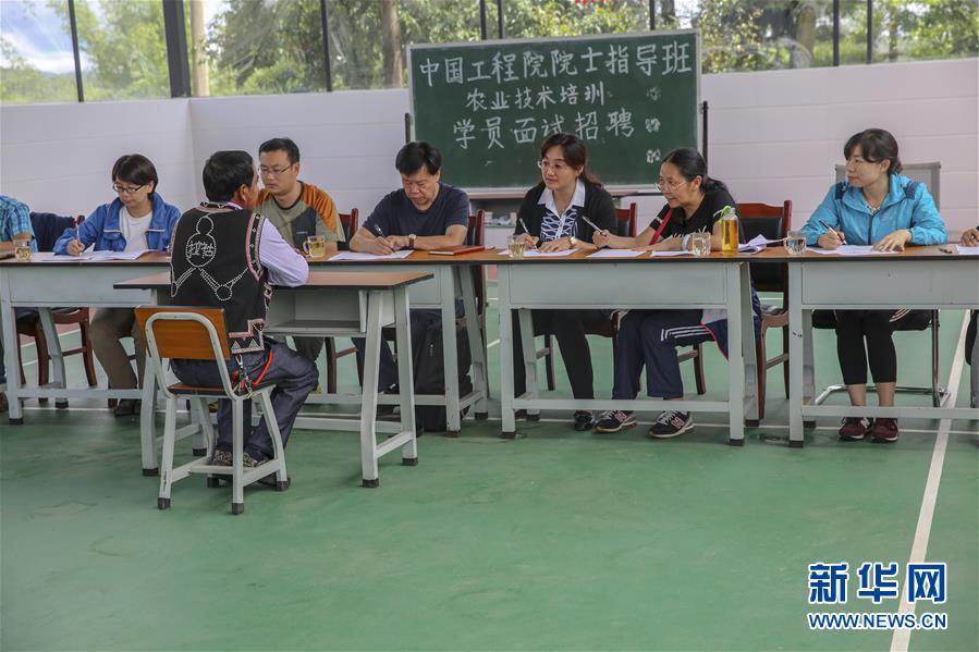 （新華全媒頭條&middot;時(shí)代先鋒&middot;圖文互動）（4）&ldquo;要把論文寫在大地上&rdquo;&mdash;&mdash;記&ldquo;農(nóng)民院士&rdquo;朱有勇