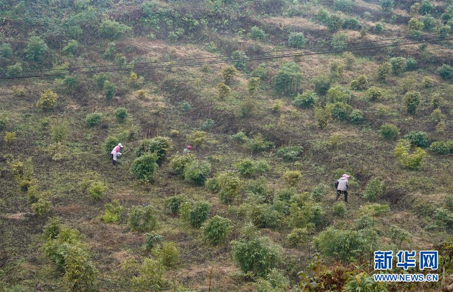 (新華全媒頭條·圖文互動(dòng))(12)烏蒙歡歌高鐵來(lái)——寫在成貴高鐵通車之際