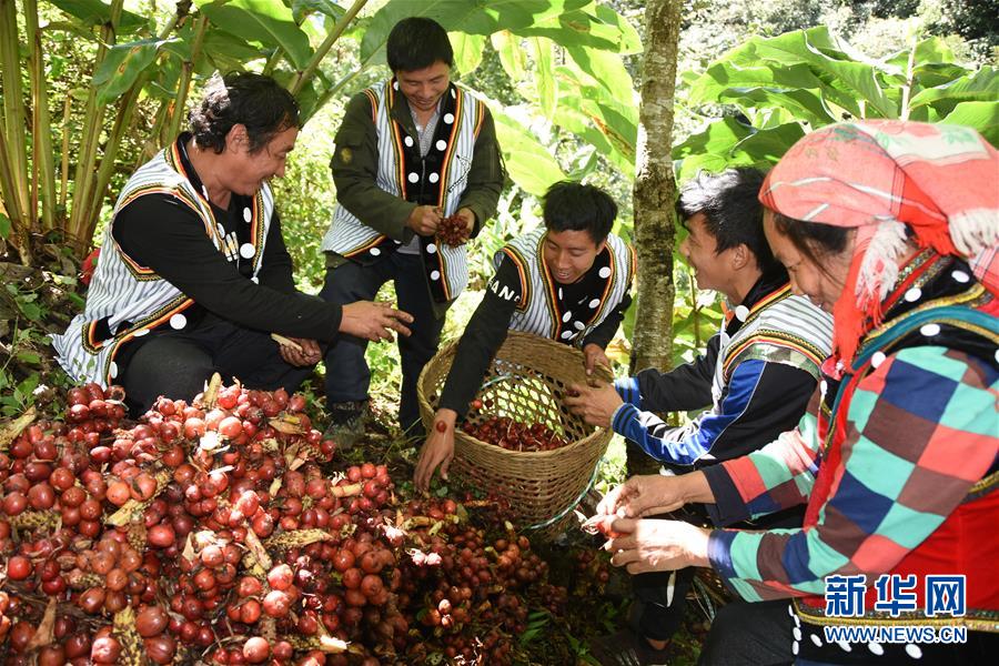 （在習(xí)近平新時(shí)代中國(guó)特色社會(huì)主義思想指引下&mdash;&mdash;新時(shí)代新作為新篇章&middot;總書記關(guān)切脫貧事&middot;決勝貧困&middot;圖文互動(dòng)）（4）讓一方水土&ldquo;富養(yǎng)&rdquo;一方人&mdash;&mdash;扶貧特色產(chǎn)業(yè)惠及千家萬戶