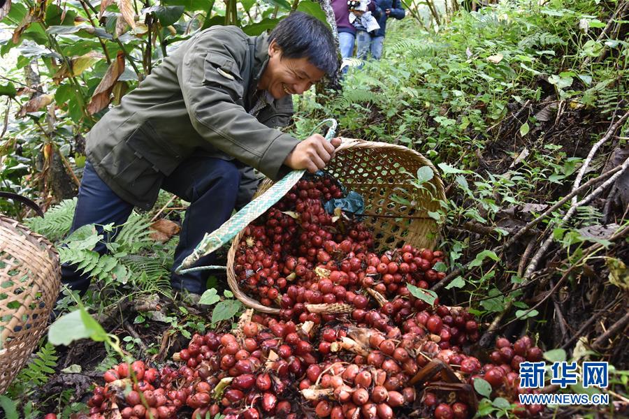 （在習(xí)近平新時(shí)代中國(guó)特色社會(huì)主義思想指引下&mdash;&mdash;新時(shí)代新作為新篇章&middot;總書記關(guān)切脫貧事&middot;決勝貧困&middot;圖文互動(dòng)）（5）讓一方水土&ldquo;富養(yǎng)&rdquo;一方人&mdash;&mdash;扶貧特色產(chǎn)業(yè)惠及千家萬戶