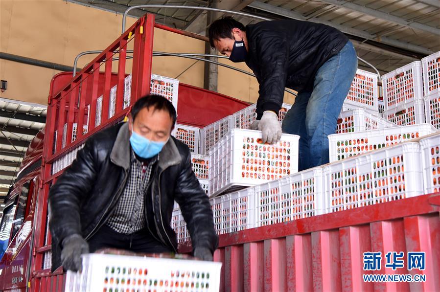 （聚焦疫情防控&middot;圖文互動(dòng)）（5）吃的東西充足，做點(diǎn)花樣菜吧！&mdash;&mdash;中部地區(qū)最大農(nóng)產(chǎn)品批發(fā)市場(chǎng)見聞 