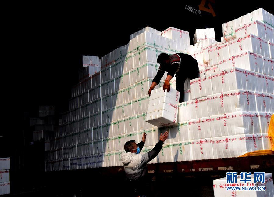 （聚焦疫情防控&middot;圖文互動(dòng)）（4）吃的東西充足，做點(diǎn)花樣菜吧！&mdash;&mdash;中部地區(qū)最大農(nóng)產(chǎn)品批發(fā)市場(chǎng)見聞 