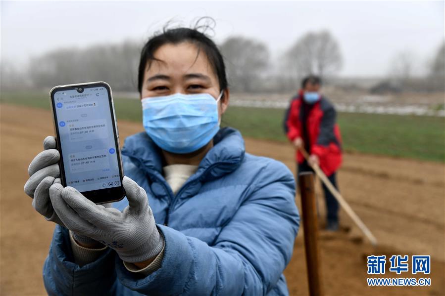 (圖文互動(dòng))(2)別樣的春耕——來(lái)自農(nóng)業(yè)大省山東的春耕備耕見(jiàn)聞