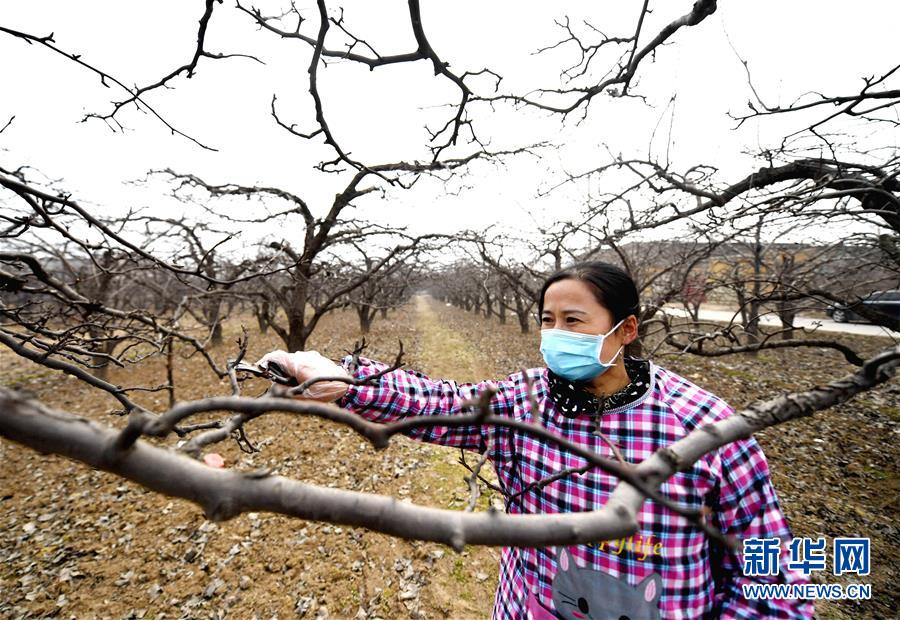 (聚焦疫情防控·圖文互動(dòng))(3)農(nóng)民工返城:幾多憧憬幾許等待——走進(jìn)疫情下的河北勞務(wù)輸出專業(yè)村