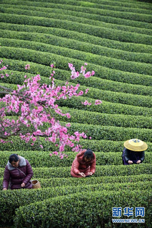 （新華全媒頭條&middot;圖文互動(dòng)）（12）書寫新的轉(zhuǎn)折&mdash;&mdash;寫在革命老區(qū)遵義全面脫貧之際