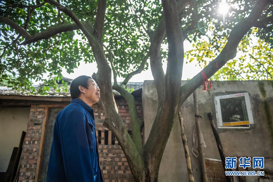 （新華全媒頭條&middot;圖文互動(dòng)）（7）書寫新的轉(zhuǎn)折&mdash;&mdash;寫在革命老區(qū)遵義全面脫貧之際