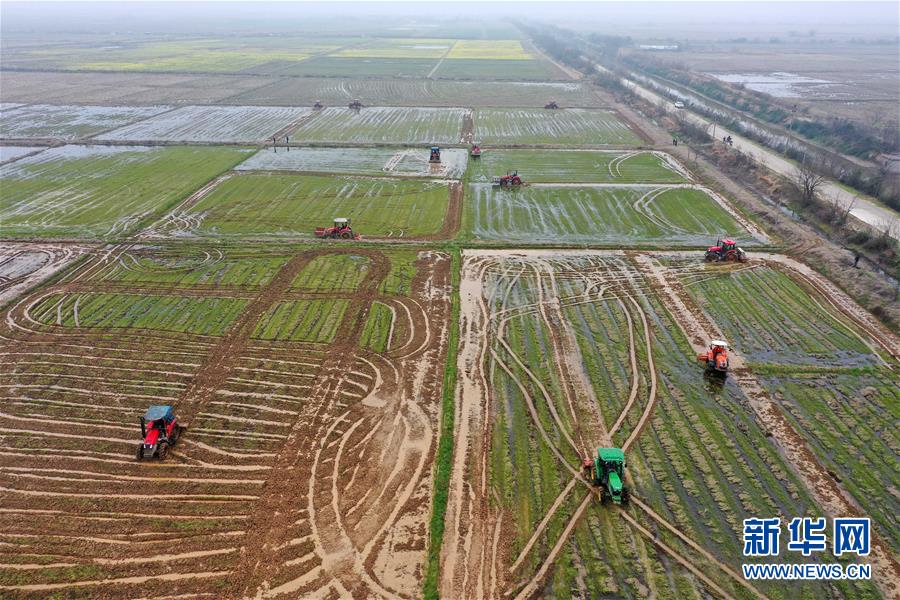 （抓好春耕備耕 穩(wěn)住農(nóng)業(yè)生產(chǎn)&middot;圖文互動(dòng)）（2）智能農(nóng)機(jī)、&ldquo;訂單&rdquo;服務(wù)、&ldquo;云端&rdquo;種菜&mdash;&mdash;來自江西的春耕&ldquo;新事&rdquo;