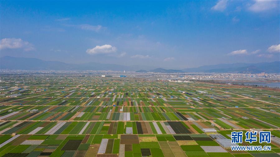 （抓好春耕備耕 穩(wěn)住農(nóng)業(yè)生產(chǎn)&middot;圖文互動(dòng)）（5）&ldquo;栽種的是菜苗，收獲的是希望&rdquo;&mdash;&mdash;云南蔬菜集散地通?？h春耕見聞 