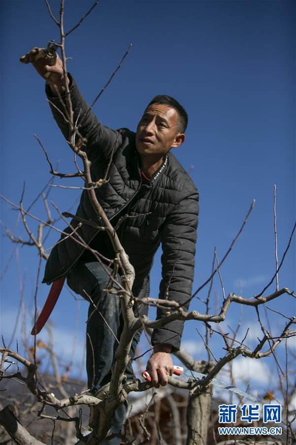(圖文互動(dòng))(2)交通建設(shè)讓四川藏區(qū)發(fā)展再飛躍