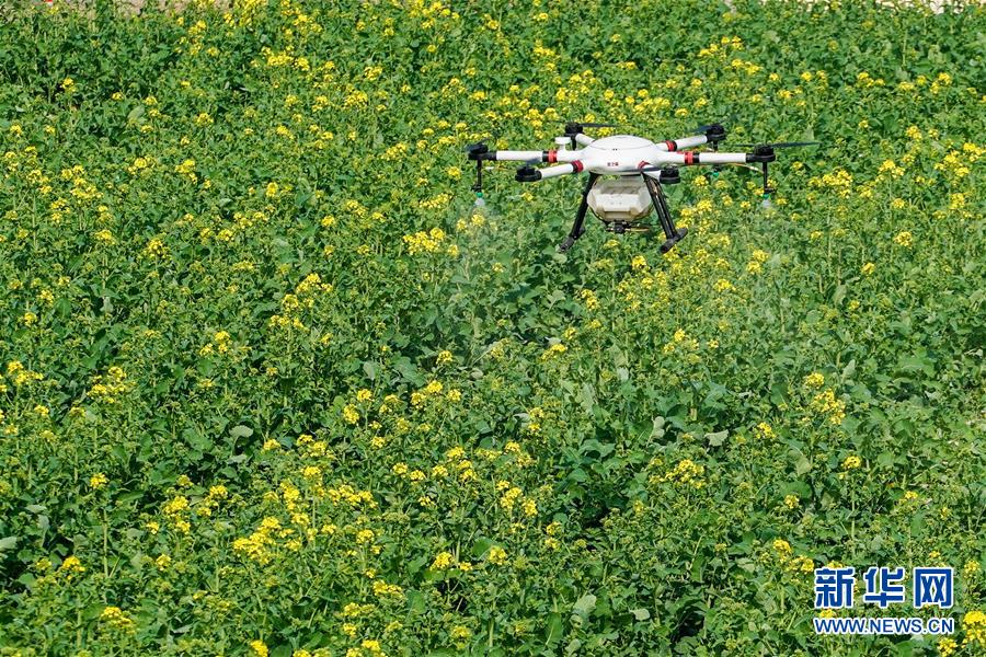 （在習近平新時代中國特色社會主義思想指引下&mdash;&mdash;新時代新作為新篇章&middot;習近平總書記關(guān)切事&middot;圖文互動）（17）精準發(fā)力抓統(tǒng)籌&mdash;&mdash;各地落實&ldquo;分區(qū)分級&rdquo;有序恢復生產(chǎn)生活