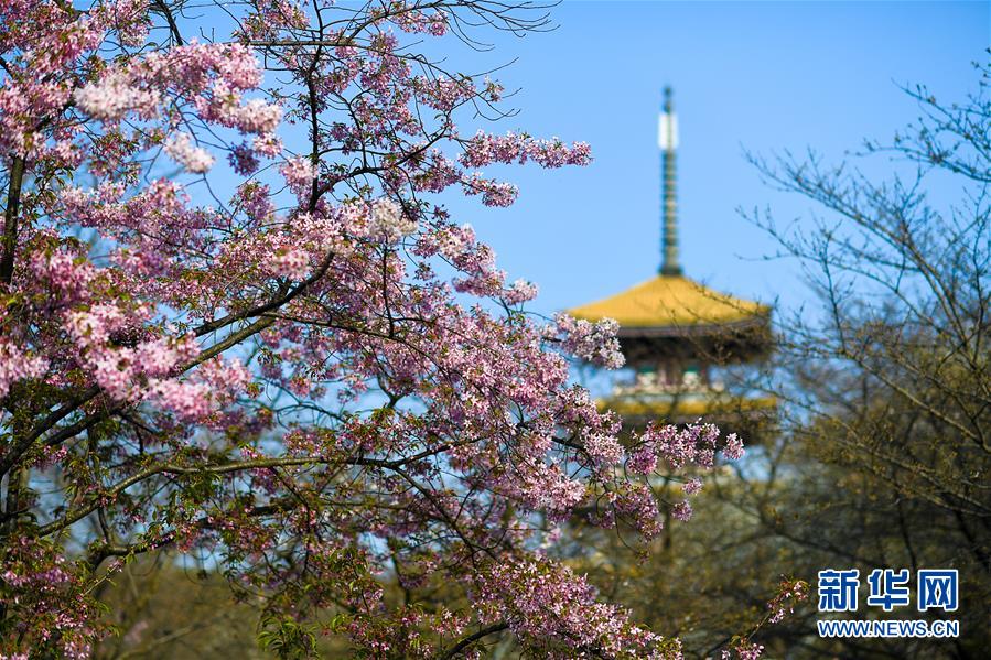 (新華全媒頭條·圖文互動(dòng))(4)青春的力量 時(shí)代的脊梁——記抗疫一線的“90后”“00后”年輕人