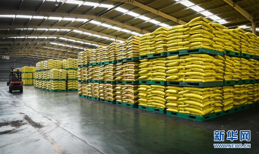 （新華全媒頭條&middot;圖文互動(dòng)）（3）在艱難中重啟 在陣痛中復(fù)蘇&mdash;&mdash;湖北推動(dòng)安全有序復(fù)工復(fù)產(chǎn)掃描