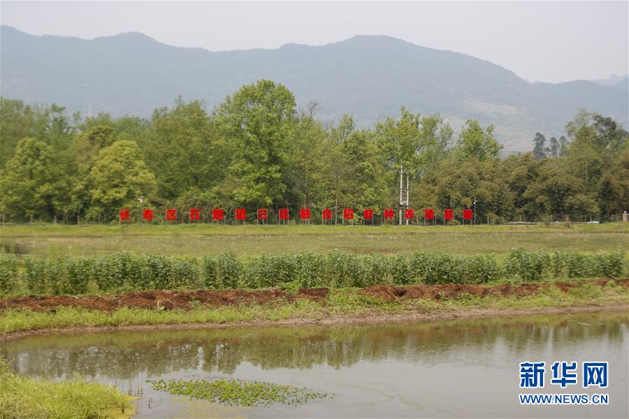 （圖文互動）（2）疏通產業(yè)鏈堵點 保障&ldquo;菜籃子&rdquo;供應&mdash;&mdash;重慶養(yǎng)殖大區(qū)力促養(yǎng)殖業(yè)補損復產